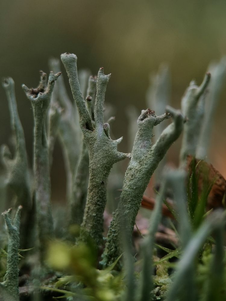 Photograph by Наталья Балабанова