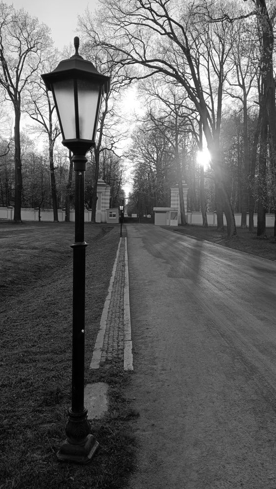 Дорожка в парке Александрия