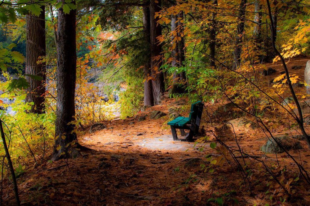 Photograph by Isabelle