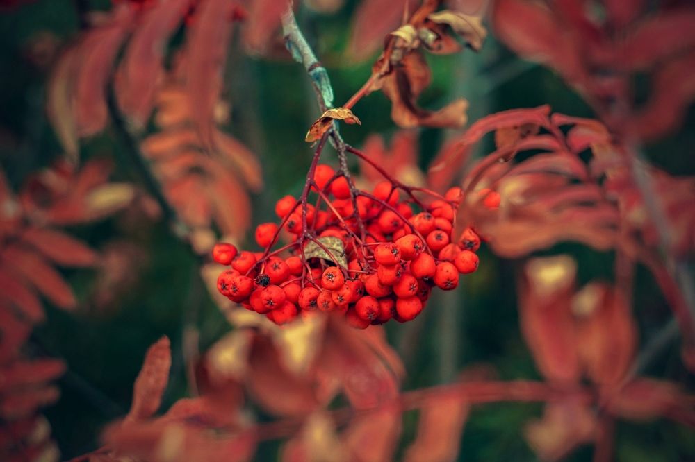 Photograph by Евгений Малинин