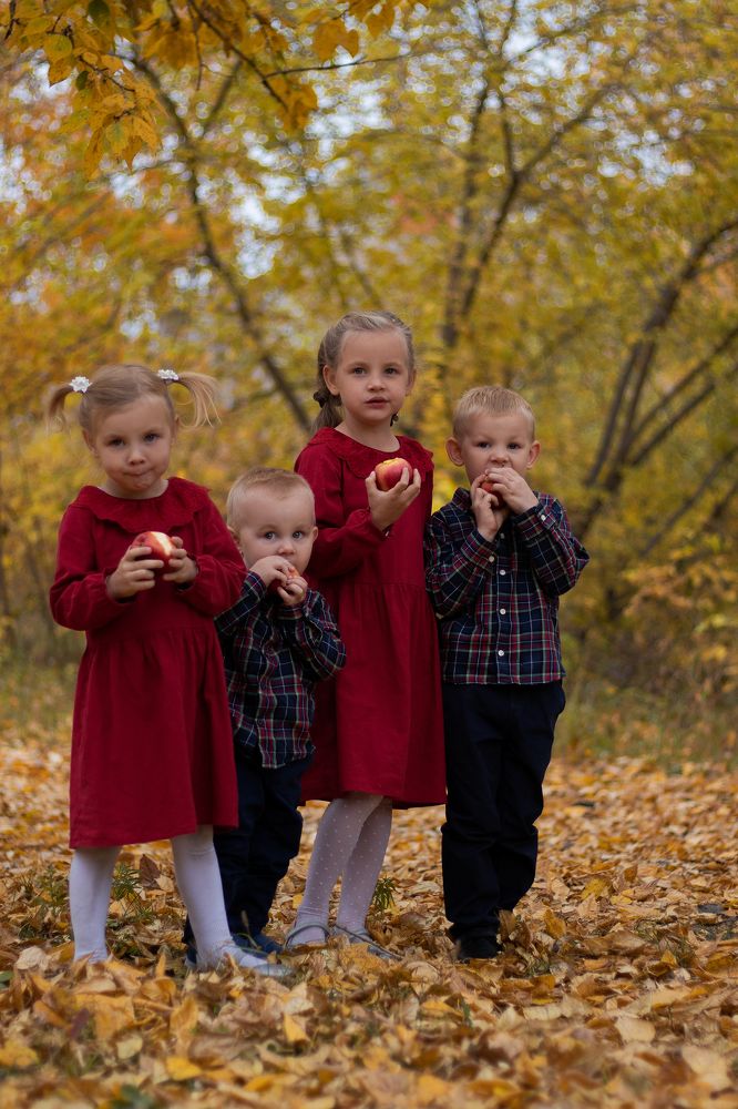 Photograph by Сергей Витвицкий