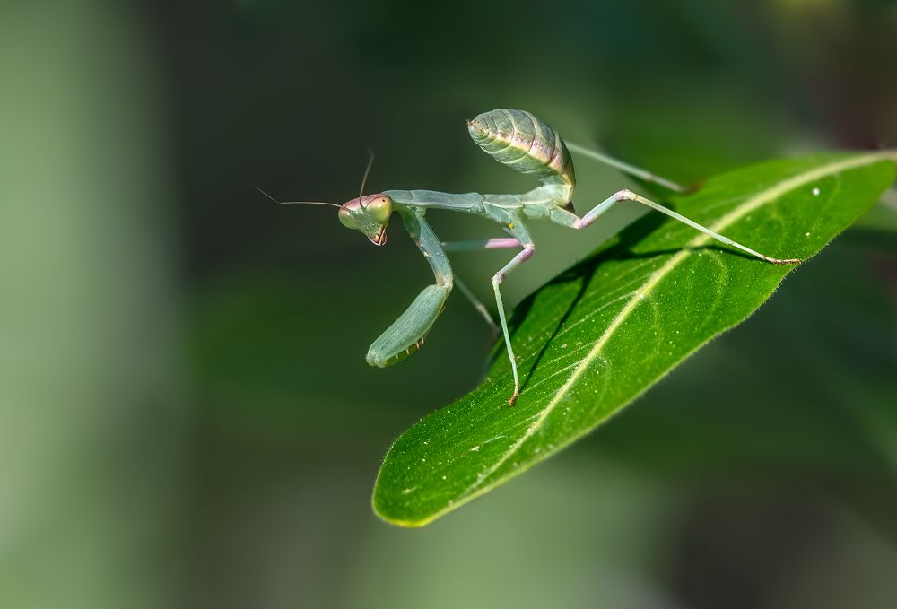 Photograph by Vahid Yavari