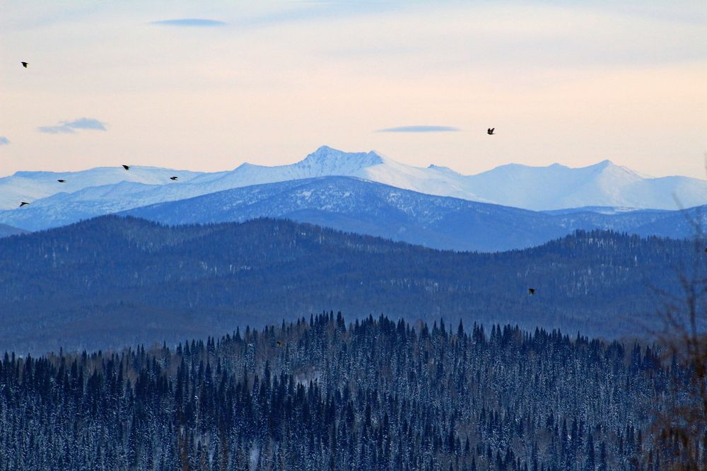 Photograph by Рашид Шайдулин