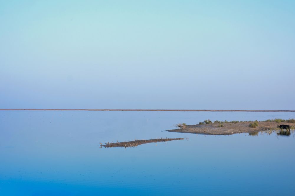 Photograph by Hassan Ali Al Asadi