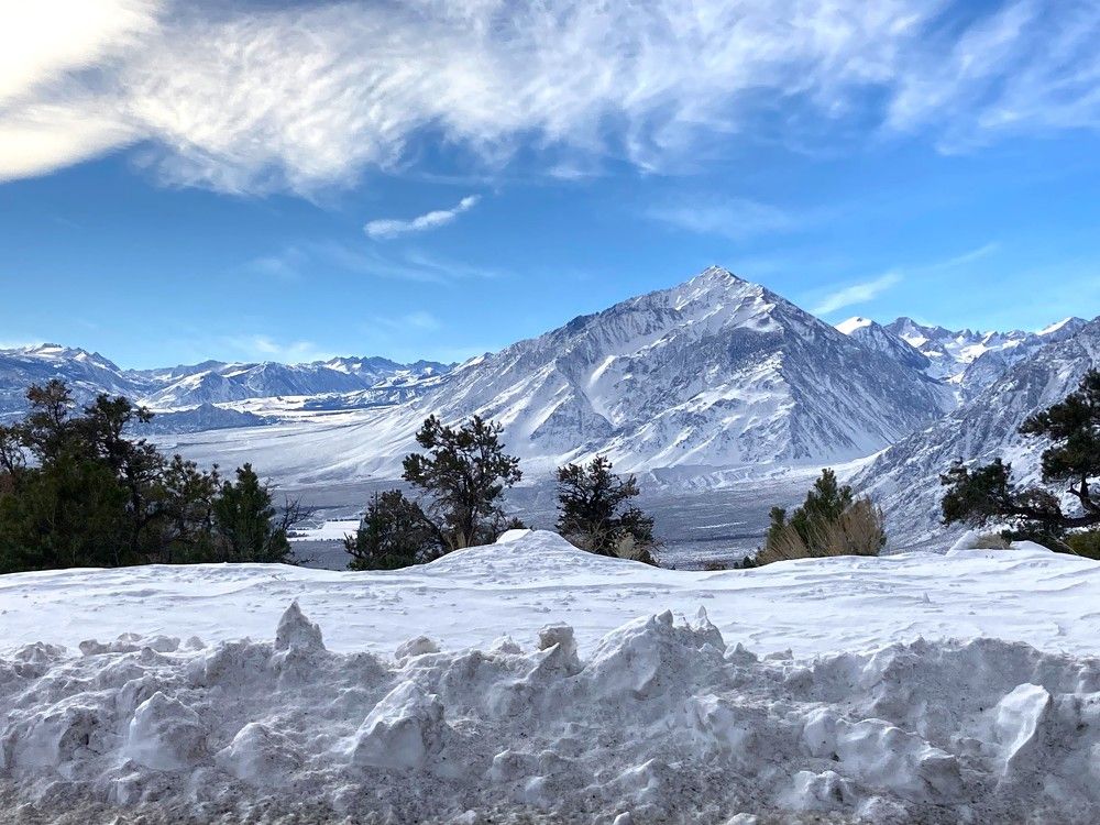 Фотография автора Елена