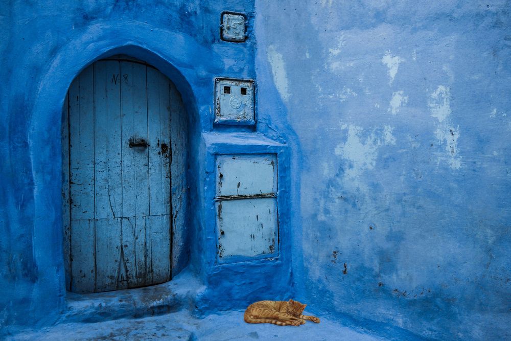 Sleeping in the blue