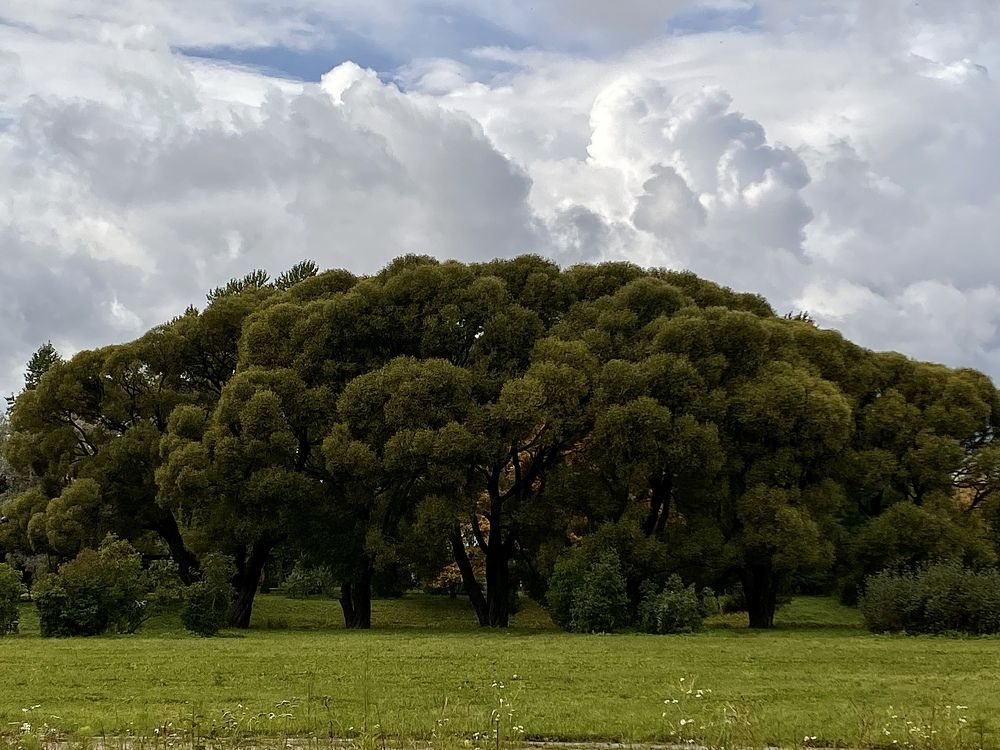 Photograph by Марина Танаева