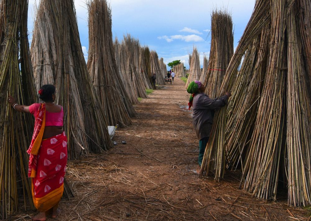 Photograph by Moumita Mondal