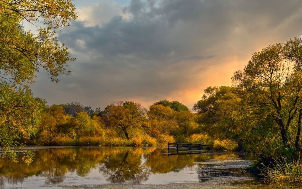 Photograph by Олег Волков