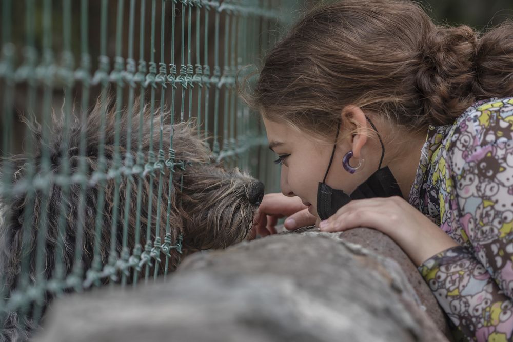 Photograph by Aлена Плясова