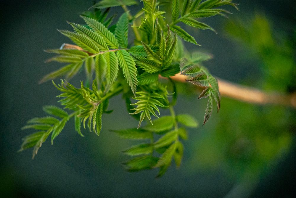 Photograph by Елена Берсенёва