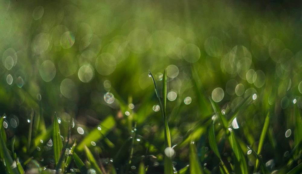 Photograph by Наталья Лещинская