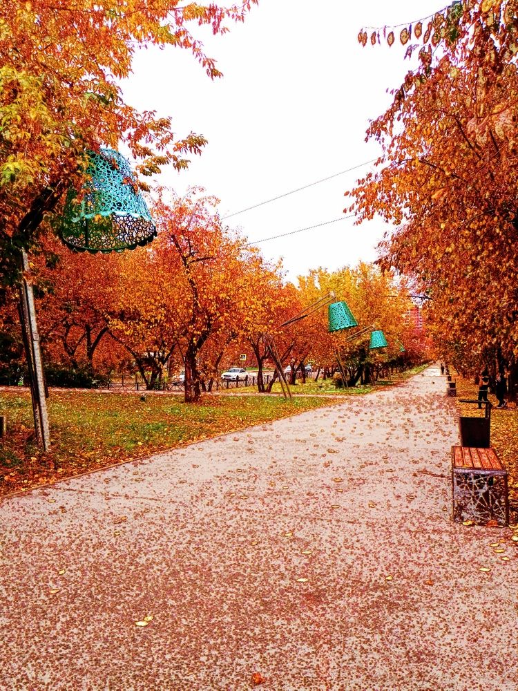 Photograph by Владимир Сушкин