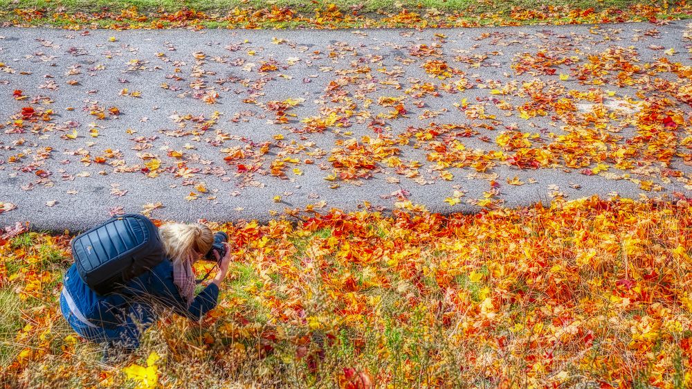 Краски осени