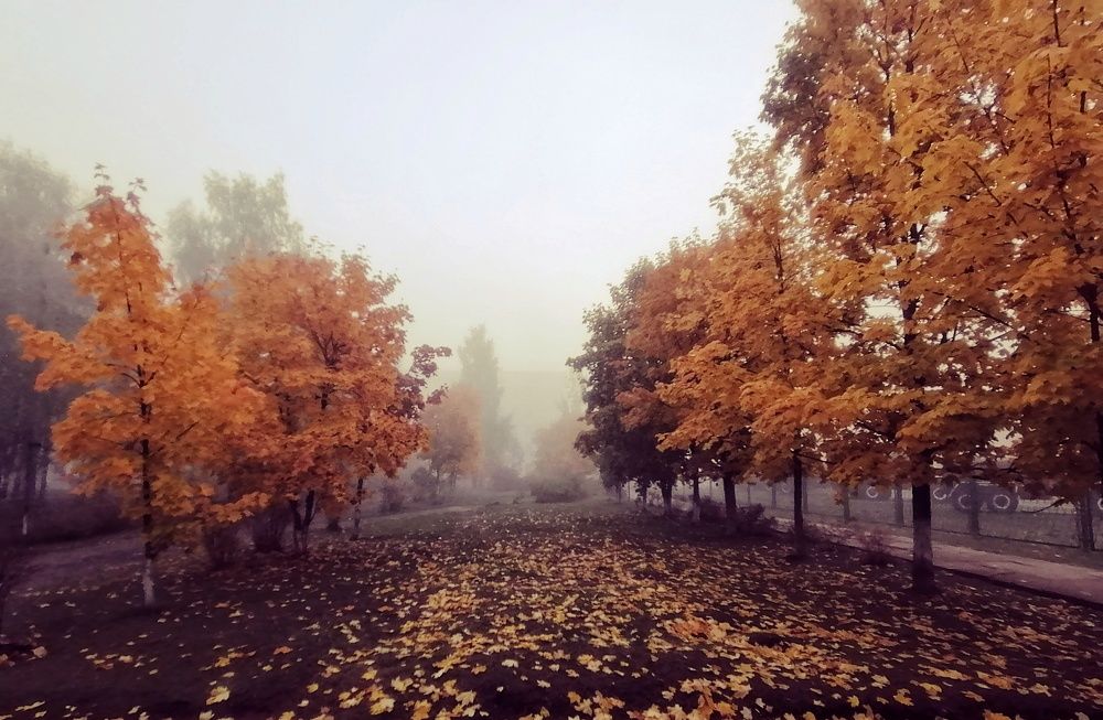 Photograph by андрей мелета