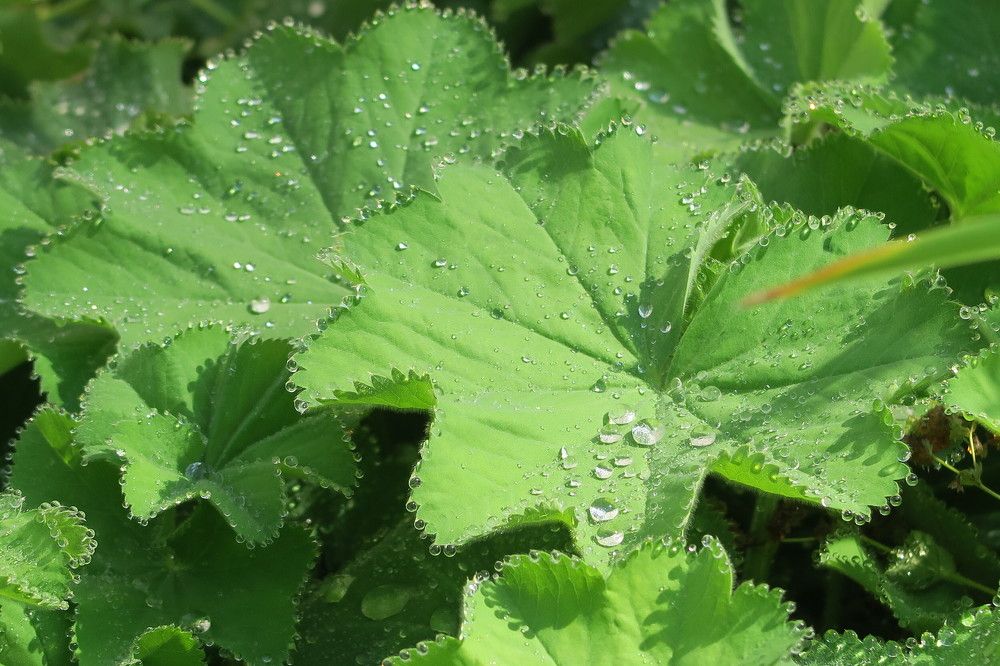 Photograph by Elena Nadeeva