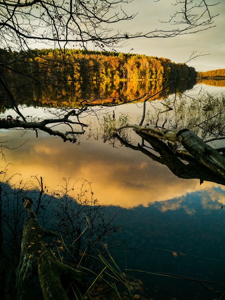 Photograph by Irina Tischer