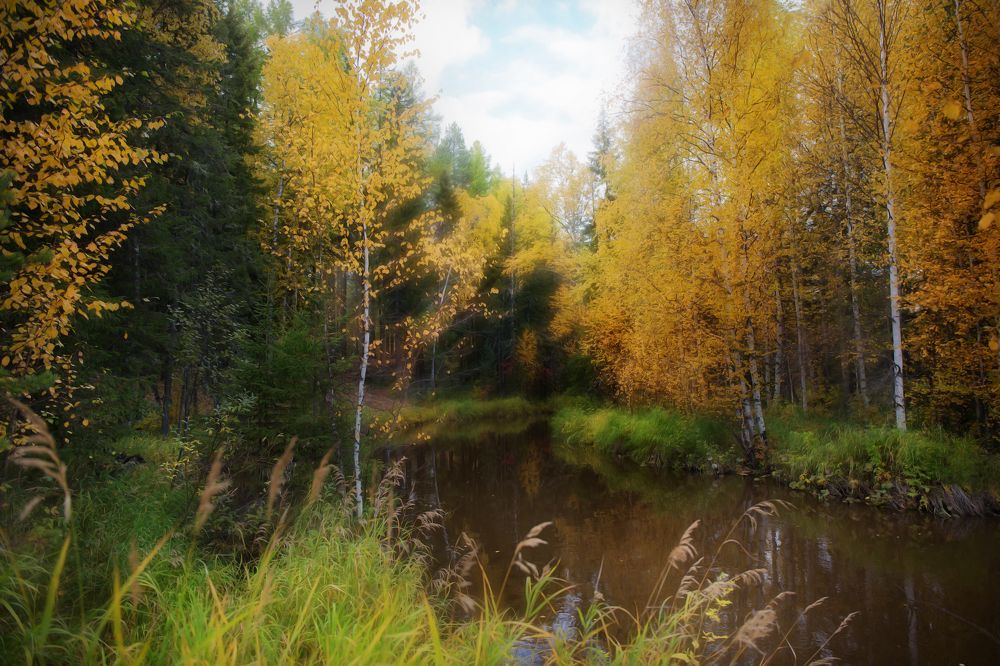 Photograph by Сергей Романченко