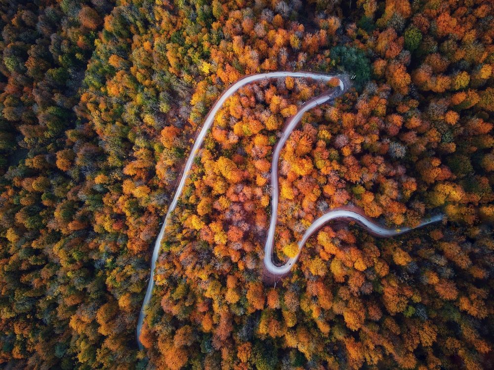 Photograph by mehdi mohebi pour