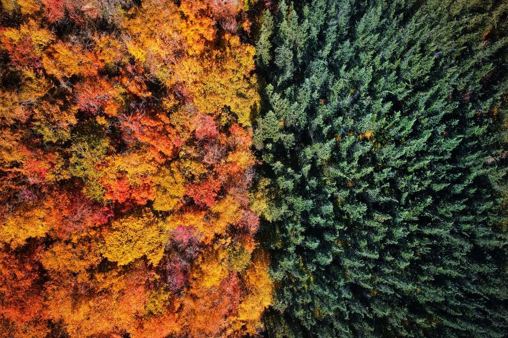 Photograph by mehdi mohebi pour