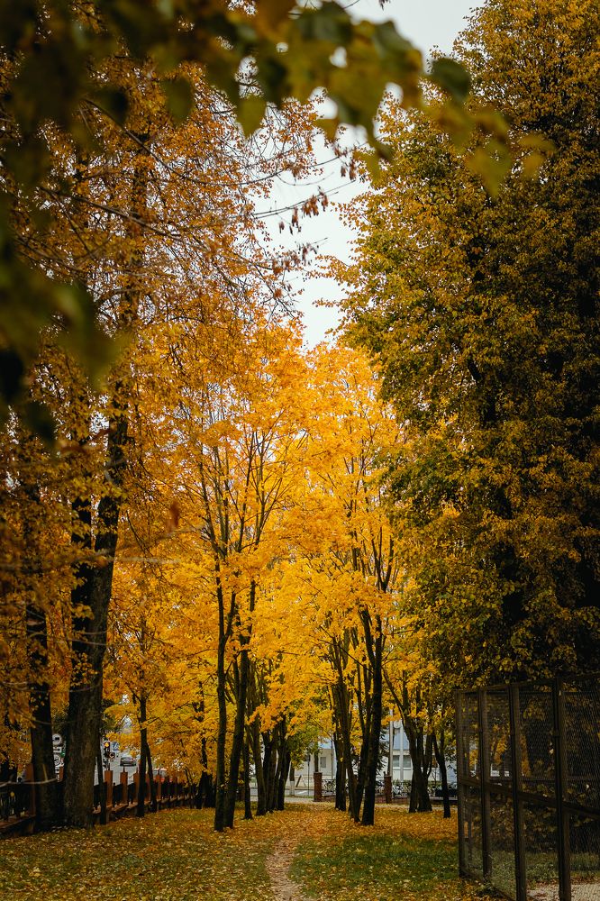 Photograph by Валерий Зенович