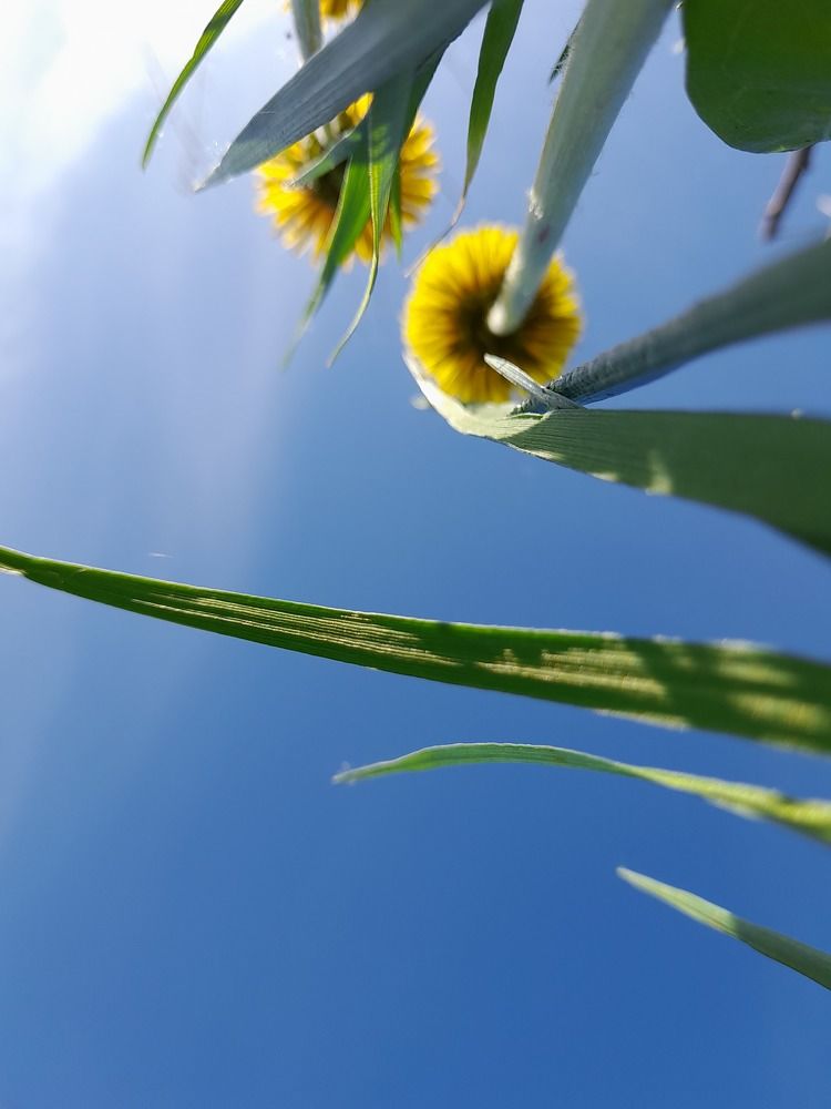 Photograph by Преснухина Екатерина