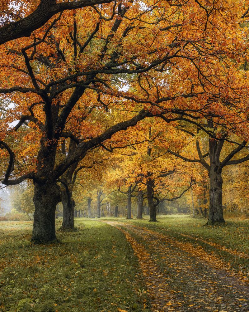 Photograph by Максим Вышарь