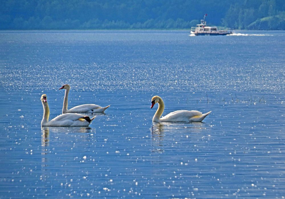 Photograph by Нина Будникова