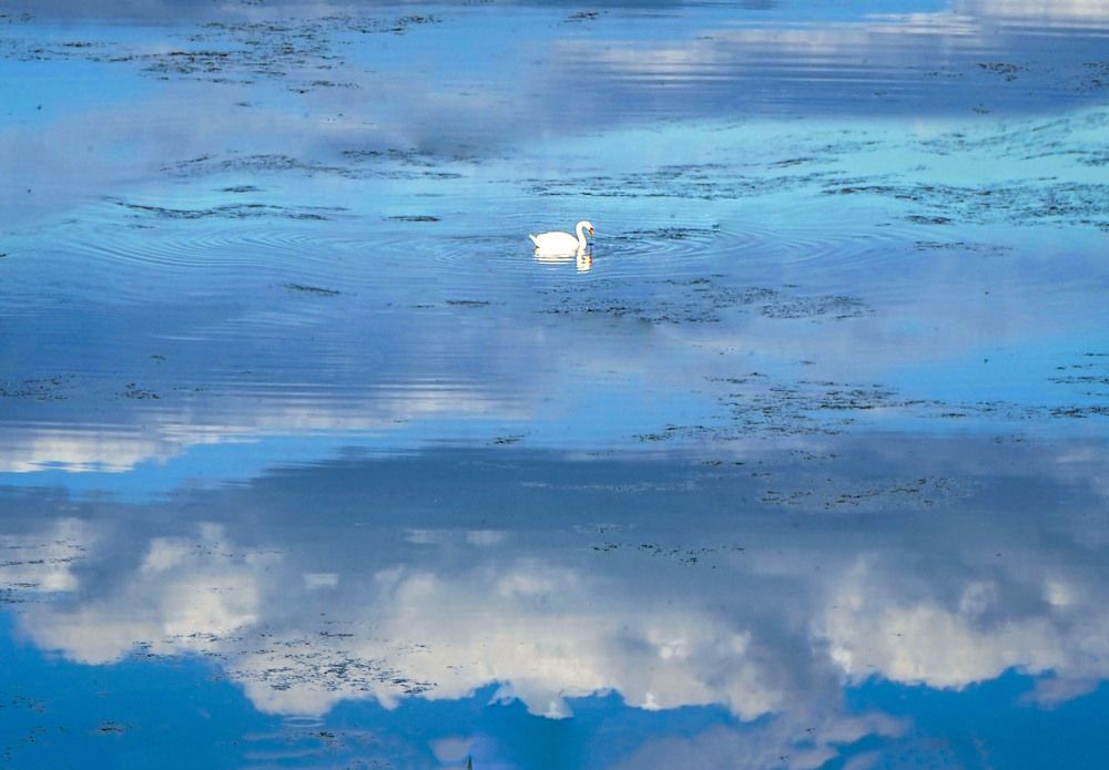 Photograph by Нина Будникова