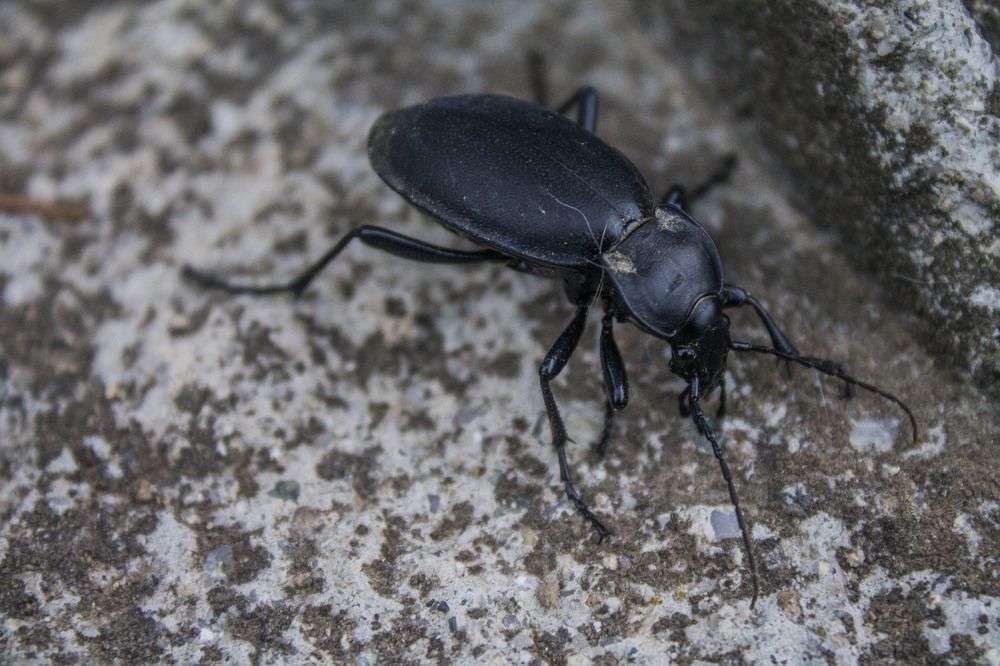 Photograph by iliya levkov