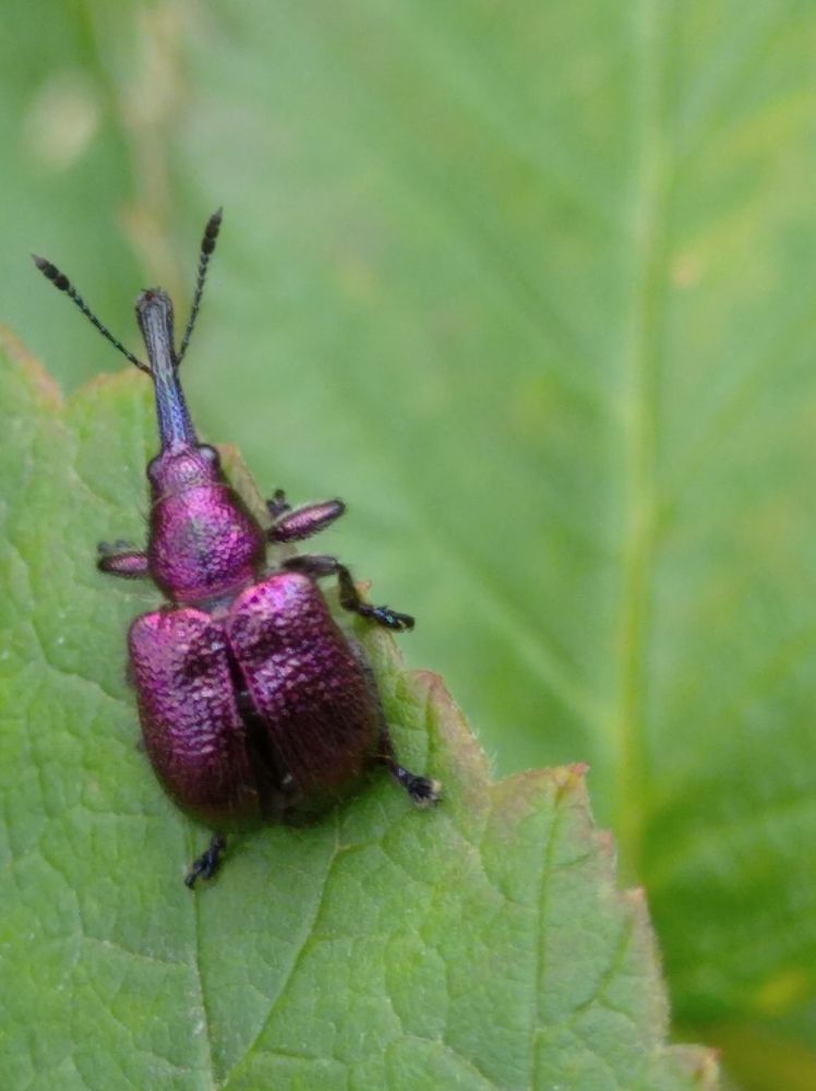 Photograph by Елена Коробченко