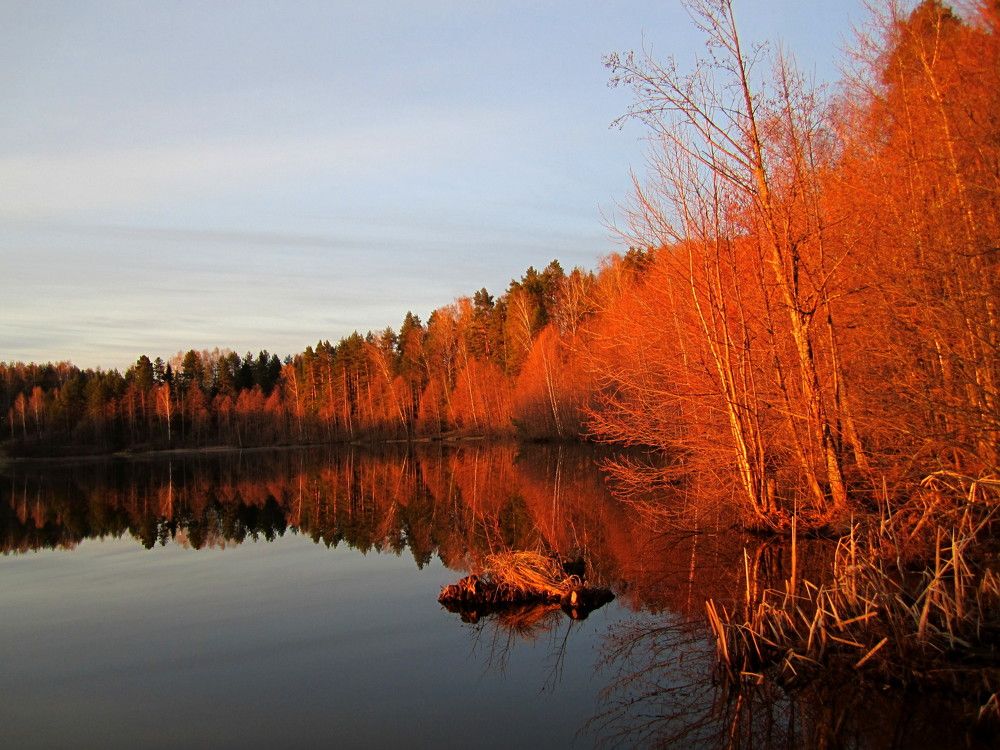 Photograph by Наталья Дубовкина