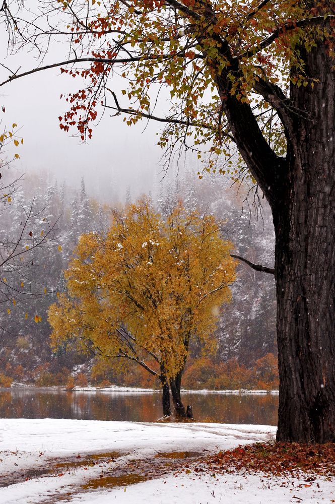 Фотография автора Любовь Харина