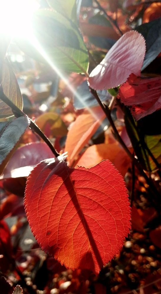 Photograph by Наталья Дубовкина