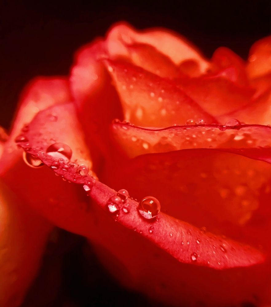 Photograph by Anna Solomina