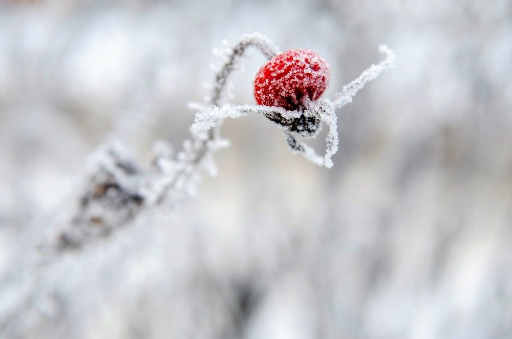 Photograph by Татьяна