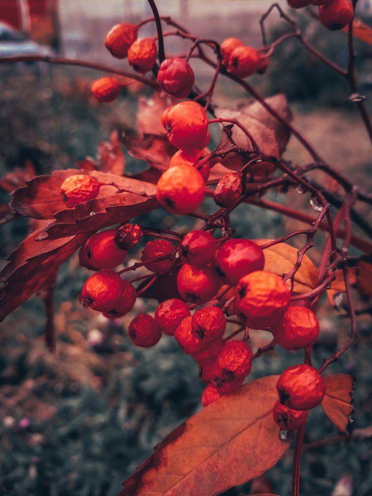 Photograph by Anna Solomina