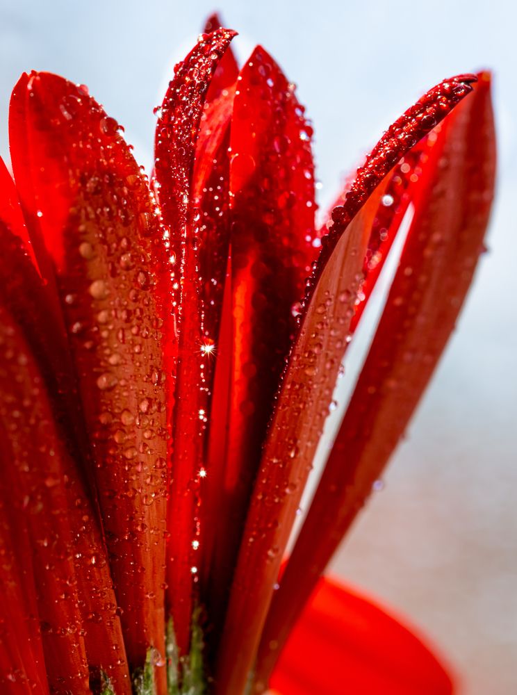 Photograph by Марина Новожилова