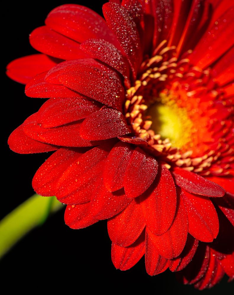 Photograph by Марина Новожилова