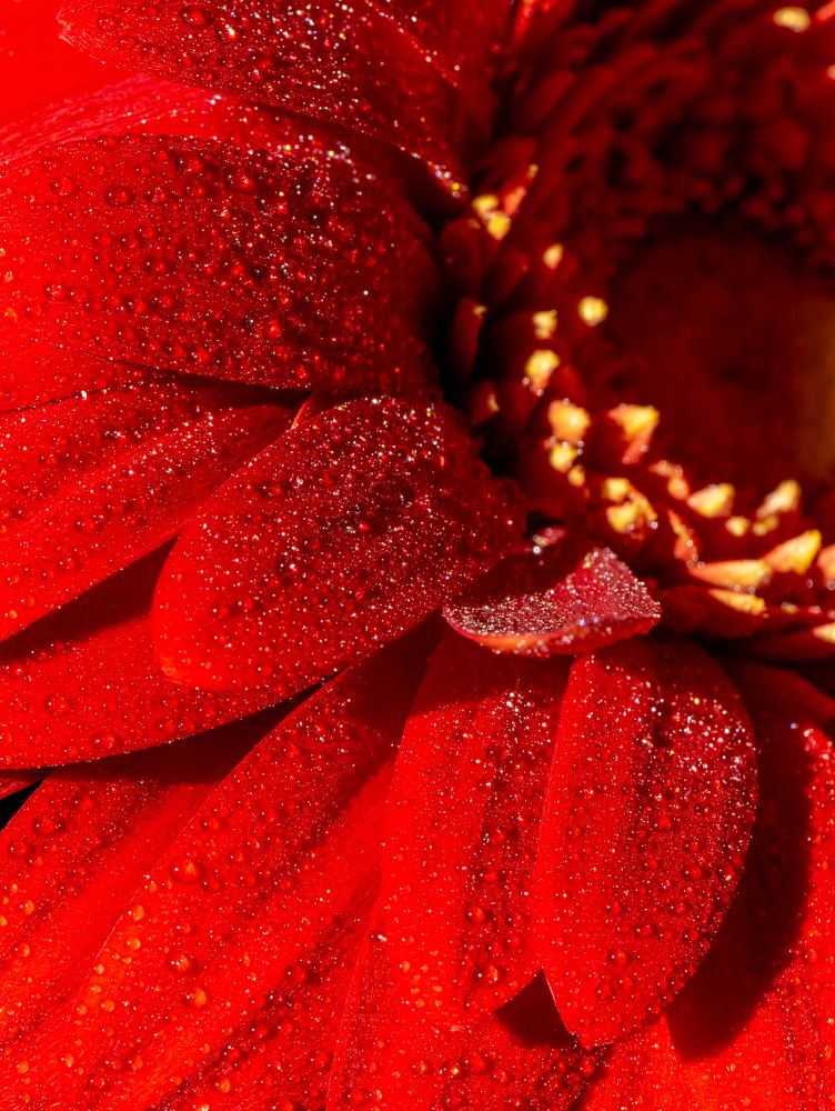 Photograph by Марина Новожилова