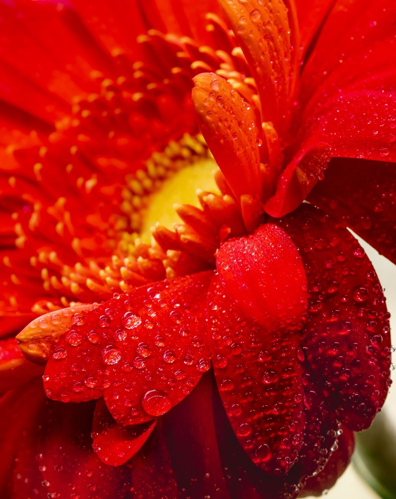 Photograph by Марина Новожилова