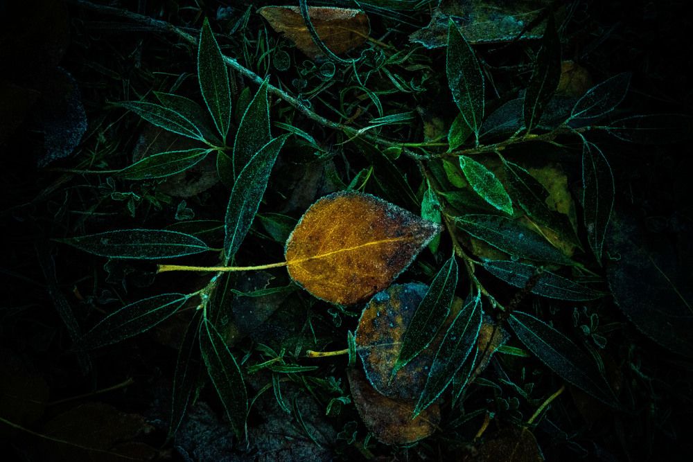 Photograph by Анастасия Глазюк