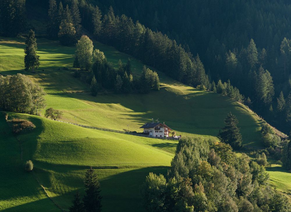 Тихая жизнь.