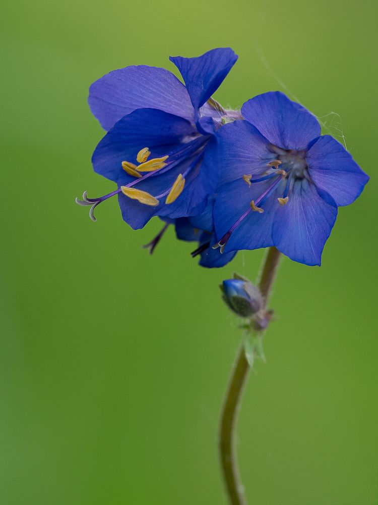 Photograph by Марина Новожилова