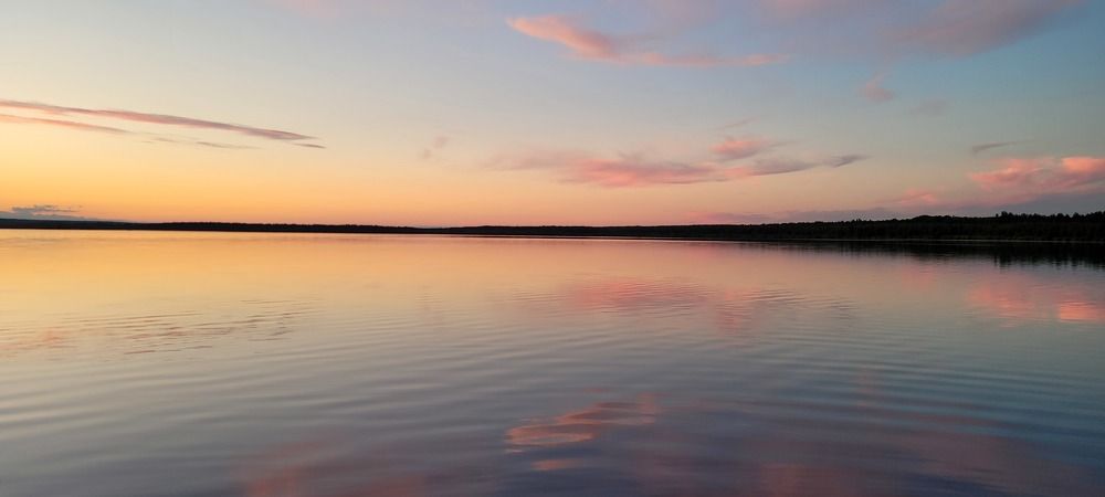 Photo #8118364