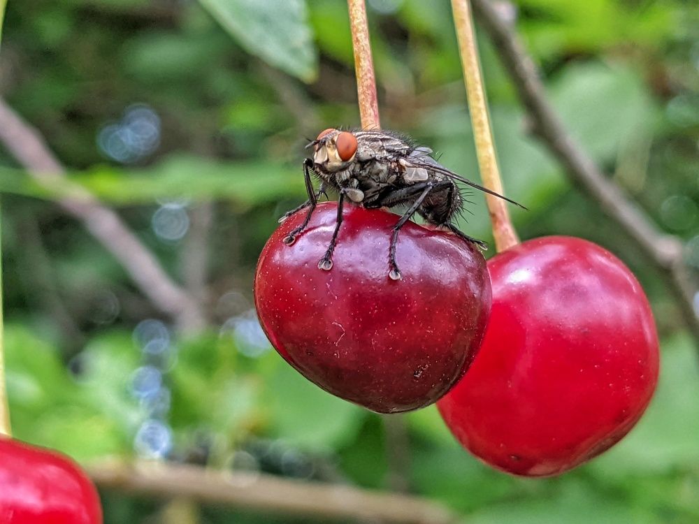 Photograph by Lavlad L