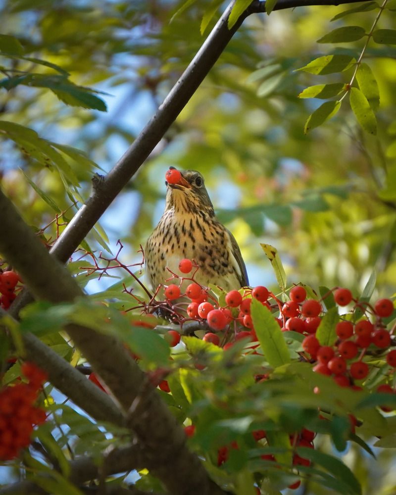 Photograph by Высотских Владимир