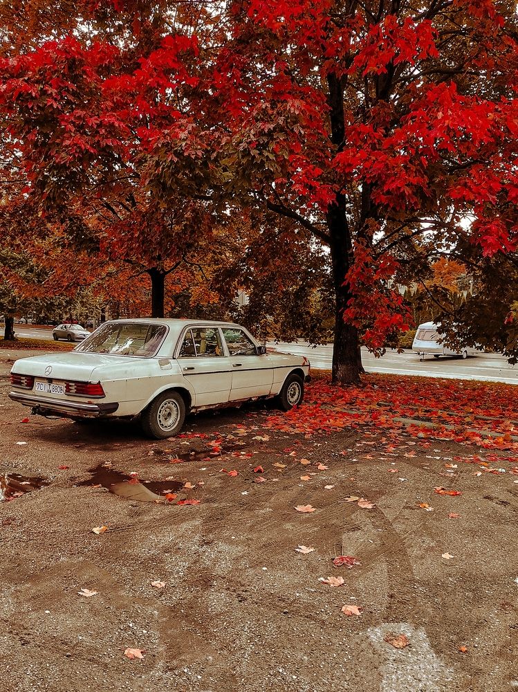 Photograph by Александра Якуцевич