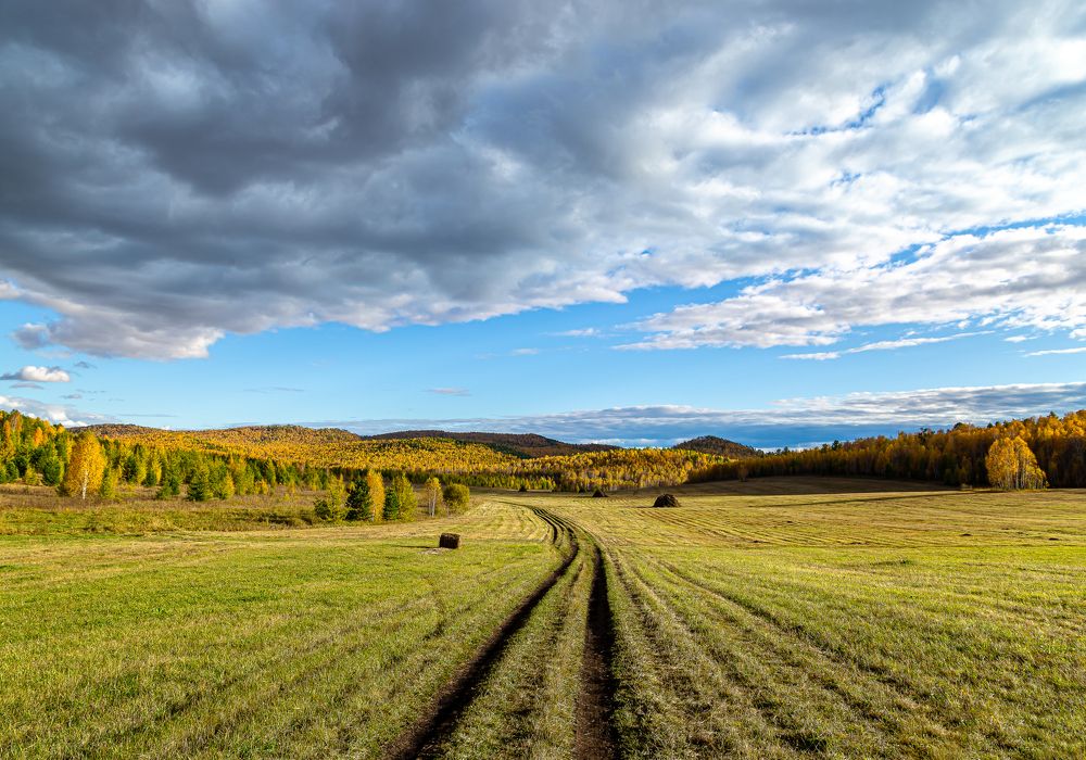 Photograph by Марина Новожилова