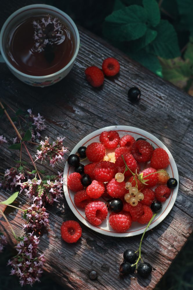 Photograph by Юлия Яремко